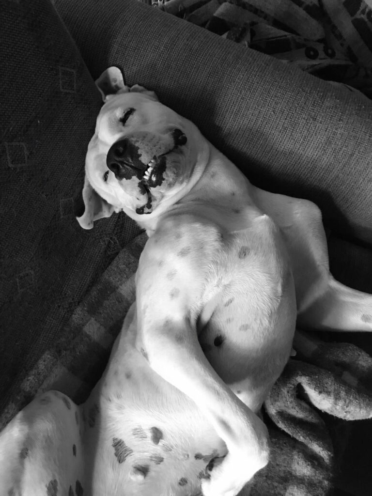 gorda